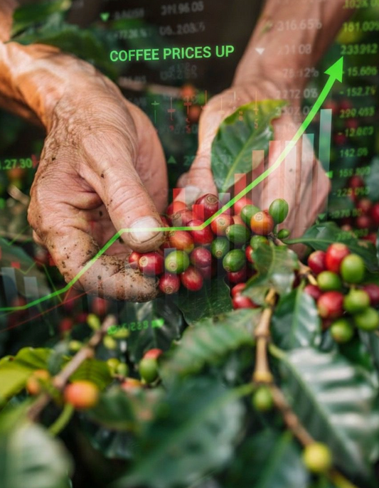 How Global Markets Affect Colombian Coffee